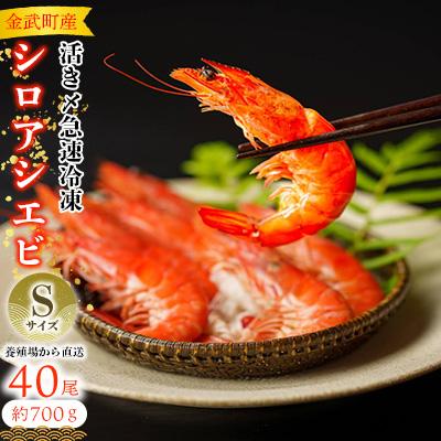 ふるさと納税 金武町 [養殖場から直送]活き〆急速冷凍 金武町産 シロアシエビ Sサイズ (バナメイエビ)