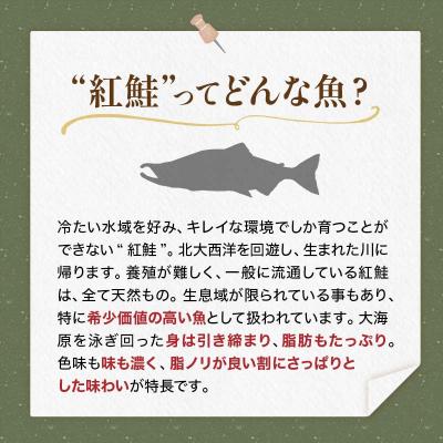 ふるさと納税 釧路市 【特選】生まれながら甘塩ベニザケ剥き身2.4kg 鮭 ベニザケ 剥き身 海鮮 海産物 おかず F4F-8553