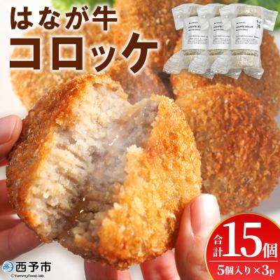 ふるさと納税 西予市 &lt;はなが牛コロッケ 計15個オリジナル おつまみ お肉 牛肉 はなが牛&gt;