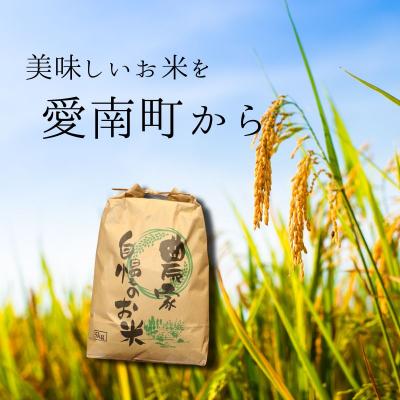 ふるさと納税 愛南町 【先行予約】 令和8年度産 新米 ヒノヒカリ 10kg