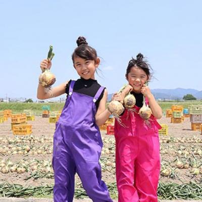 ふるさと納税 南あわじ市 【先行予約!】あわじ島完熟たまねぎ 3kg ◆配送6月〜12月下旬の画像