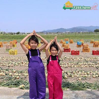 ふるさと納税 南あわじ市 【先行予約!】あわじ島完熟たまねぎ 10kg ◆配送6月〜12月下旬の画像