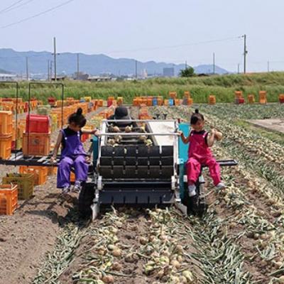 ふるさと納税 南あわじ市 【先行予約!】あわじ島完熟たまねぎ 10kg ◆配送6月〜12月下旬の画像
