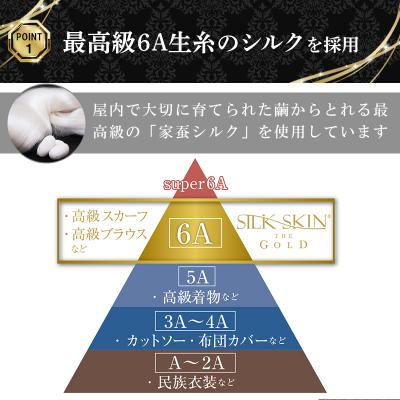 ふるさと納税 みどり市 「毎日シルクに包まれて眠りたい」手洗いOK　天然シルクの枕カバー【65x45cm】【a088】_1
