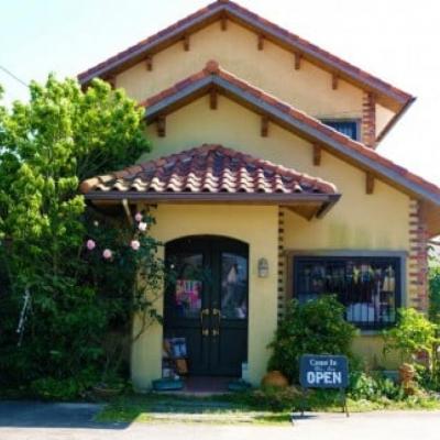 ふるさと納税 小郡市 はちみつ もちの木/山みつ 各600g セット 蜂蜜 2種[No5354-2264]の画像