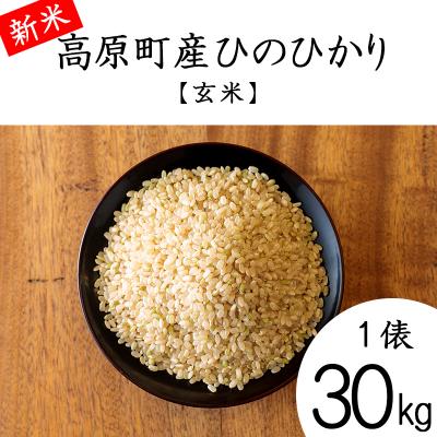 ふるさと納税 高原町 【令和7年産】宮崎県高原町産ひのひかり玄米30kg 