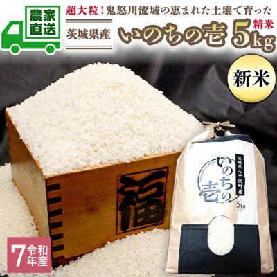 ふるさと納税 八千代町 令和7年産 茨城県産 新米 いのちの壱 5kg 精米 大粒 単一原料米 農家直送 [BG014ya]