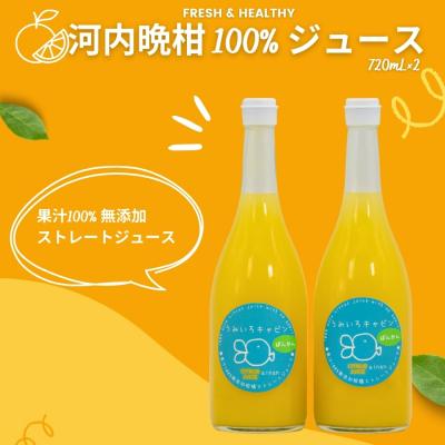 ふるさと納税 愛南町 河内晩柑 ストレートジュース 2本×720ml 愛南ゴールド ジュース うみいろキャビン