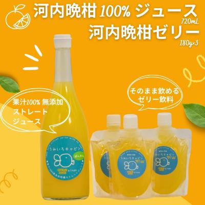 ふるさと納税 愛南町 河内晩柑 ( 愛南ゴールド ) ジュース 720ml 1本 河内晩柑 ゼリー 180g 3個 セット