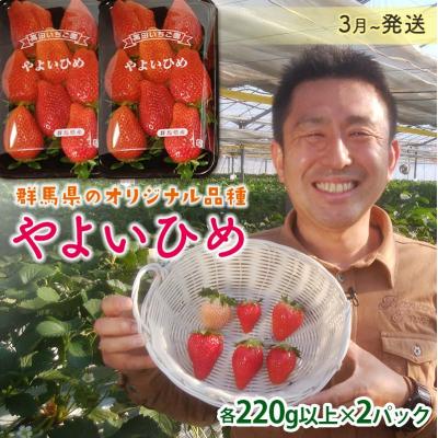 ふるさと納税 富岡市 群馬県産いちごセット<やよいひめ2パック>[2026年3月1日〜5月15日発送] F21E-494