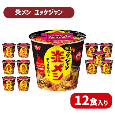 ふるさと納税 下関市 日清 炎メシ ユッケジャン 12食 インスタント 即席