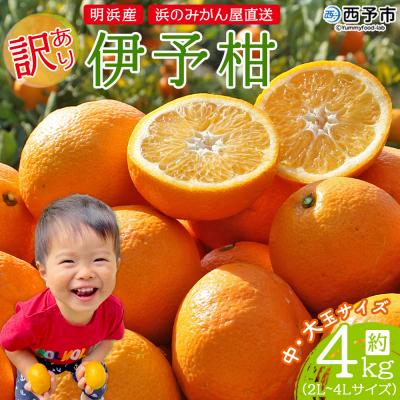 ふるさと納税 西予市 &lt;訳あり 伊予柑 約4kg 浜のみかん屋 直送&gt; 小 中 大玉 家庭用 果物 おいしい