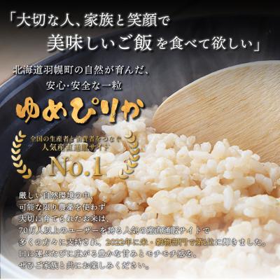 ふるさと納税 羽幌町 【定期便:3回】特別栽培米 ゆめぴりか玄米 5kg(栽培期間中無化学肥料・農薬不使用)【25138】の画像