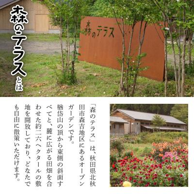 ふるさと納税 北秋田市 スノーモービル 宿泊 森のテラス スノーモービル体験付 宿泊プラン 森吉|mrtr-020101の画像
