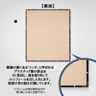 ふるさと納税 薩摩川内市 ユニフォーム額 グルアール ベージュ コレクションケース アクリル FS-808_3