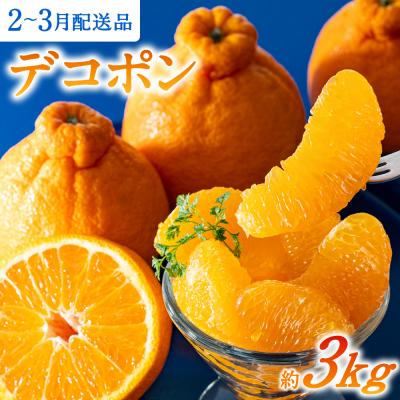 ふるさと納税 新宮町 [昨年も大人気]デコポン(約3kg程度)/2026年2月〜3月配送