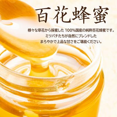 ふるさと納税 可児市 Honey farm Mel 国産純粋はちみつ 百花蜜600gと園主が選ぶ単花蜜600gセットの画像