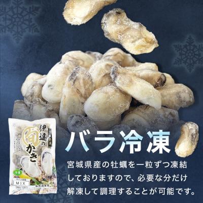 ふるさと納税 石巻市 伊達の旬かき 1kg ( 500g × 2個 ) 加熱用 牡蠣 かき カキ むき身 貝 海鮮_1