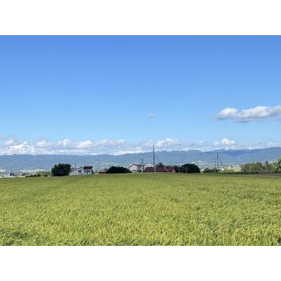 ふるさと納税 由仁町 令和8年産 ななつぼし 玄米 30kg[QQ01]