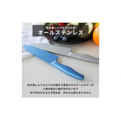 ふるさと納税 春日井市 【深海(シンカイ)】オールステンレスのカラー包丁「haleiro(ハレイロ)」サントク_3