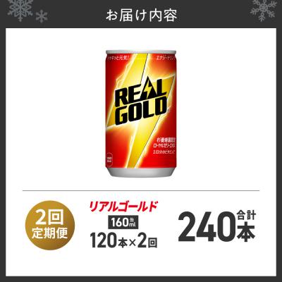 ふるさと納税 札幌市 【2ヶ月定期便】リアルゴールド 160ml缶×120本_hs137-102の画像