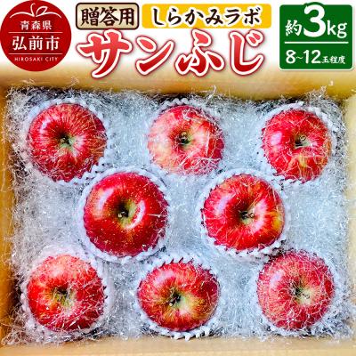 ふるさと納税 弘前市 [25年12月〜発送]りんご サンふじ 贈答用 約3kg|24_skl-070301