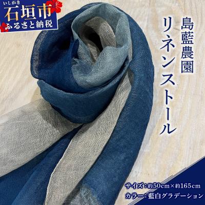ふるさと納税 石垣市 石垣島の藍染工房 島藍農園リネンストール(藍白