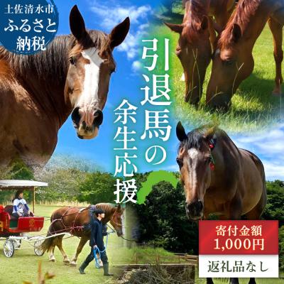 ふるさと納税 土佐清水市 引退馬 余生応援 一口 1,000円(300円分)返礼品なし 動物保護 クラファン[R01528]
