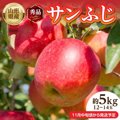 ふるさと納税 大江町 [先行受付]山形産「サンふじ」秀品 約5kg 約12〜14玉[11月中旬〜順次発送] 004-015