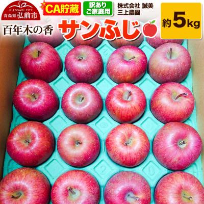 ふるさと納税 弘前市 [訳あり]百年木の香 三上農園 サンふじ 約5kg (14〜20玉程度)|24_mkn-150501