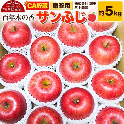 ふるさと納税 弘前市 贈答用 百年木の香 三上農園 サンふじ 約5kg (14〜20玉程度)|24_mkn-160501