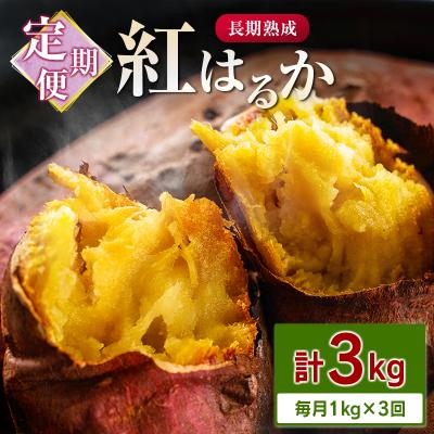 ふるさと納税 宮崎県 &lt;定期便&gt;3回お届け!長期熟成 紅はるか 計3kg(1kg×3回)宮崎県都城市産 さつまいも サツマ
