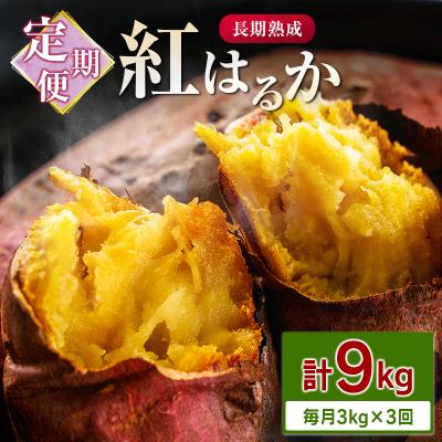 ふるさと納税 宮崎県 &lt;定期便&gt;3回お届け!長期熟成 紅はるか 計9kg(3kg×3回)宮崎県都城市産 さつまいも