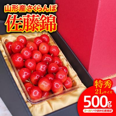 ふるさと納税 山形市 ★旬大粒★ 特秀品 2Lサイズ 500gバラ斜め 化粧箱詰[令和8年産先行予約]FS25-541