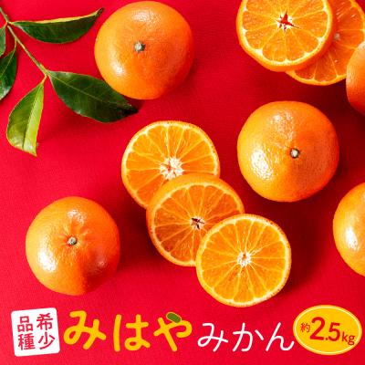ふるさと納税 新宮町 柑橘・みはやみかん/約2.5キロ(2025年12月上旬〜2026年1月末発送予定)