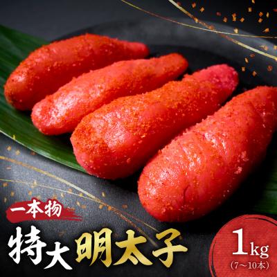 ふるさと納税 札幌市 特大一本物明太子_hs398-002