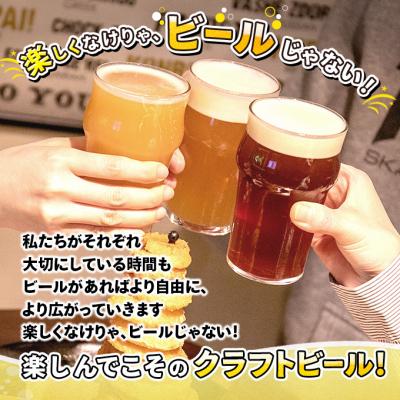 ふるさと納税 羽後町 【定期便3ヵ月】地ビール IPA 010・IPA 008  各3本[No.5325-0491]の画像