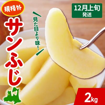 ふるさと納税 五所川原市 [2025年12月上旬発送] りんご サンふじ 約 2kg 規格外 程度 青森 五所川原 不揃い