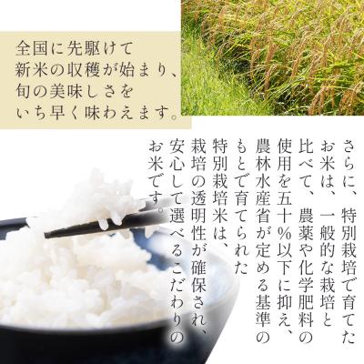ふるさと納税 香南市 【2回定期便】無洗米 特別栽培米 コシヒカリ 5kg 令和7年産 Wnu-0007の画像