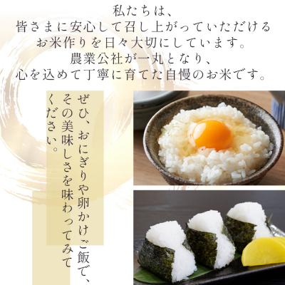 ふるさと納税 香南市 【2回定期便】無洗米 特別栽培米 コシヒカリ 5kg 令和7年産 Wnu-0007の画像