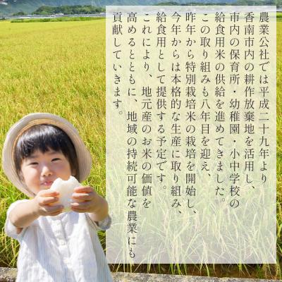 ふるさと納税 香南市 【2回定期便】無洗米 特別栽培米 コシヒカリ 5kg 令和7年産 Wnu-0007の画像