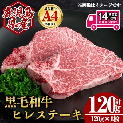 ふるさと納税 曽於市 鹿児島県産黒毛和牛ヒレステーキ 計120g(120g×1枚)