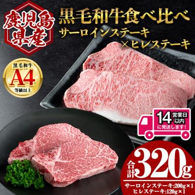 ふるさと納税 曽於市 鹿児島県産黒毛和牛サーロイン×ヒレステーキセット 計320g