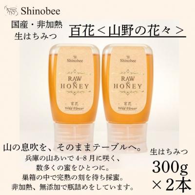 ふるさと納税 宍粟市 国産・非加熱 生はちみつ 2本セット 600g(300g×2本) 百花[山野の花々]AS19