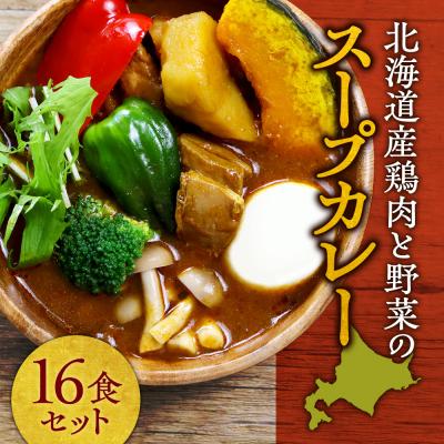 ふるさと納税 札幌市 北海道産鶏肉と野菜のスープカレー16食セット_hs489-006