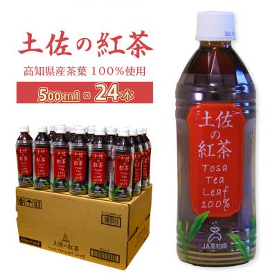 ふるさと納税 佐川町 土佐の紅茶 無糖 500ml×24本 1ケース JA高知県 佐川町産茶葉使用