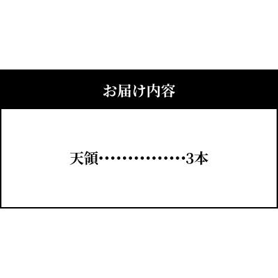ふるさと納税 天草市 天皇杯受賞 かまぼこ天領3本セット_S032-004の画像