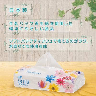 ふるさと納税 富士宮市 マスコー製紙 ソフィアタッチエコ ティッシュ
