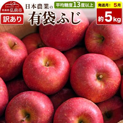 ふるさと納税 弘前市 りんご[27年5月発送]有袋ふじ[訳あり]約5kg CA貯蔵|24_nng-490501al