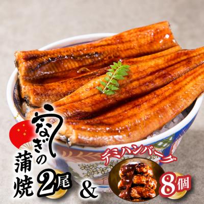 ふるさと納税 新宮町 うなぎの蒲焼2尾&amp;大人気のデミハンバーグ8個[新宮町ゴールデンセット]